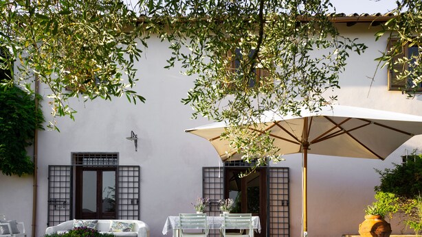 A patio with a table and chairs, a sofa, and a potted plant.