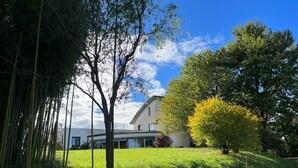 A modern house with a large lawn, surrounded by bamboo and trees. - Large modern villa surrounded by olive trees, , 20 minutes to Rome          (Sacrofano)