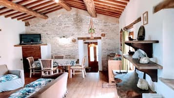 Smart TV, chimenea, reproductor de DVD y libros