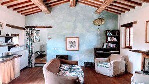 Smart TV, fireplace, DVD player, books