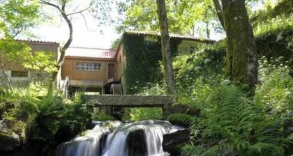 Casa de Barreiros (Camélias de Basto)