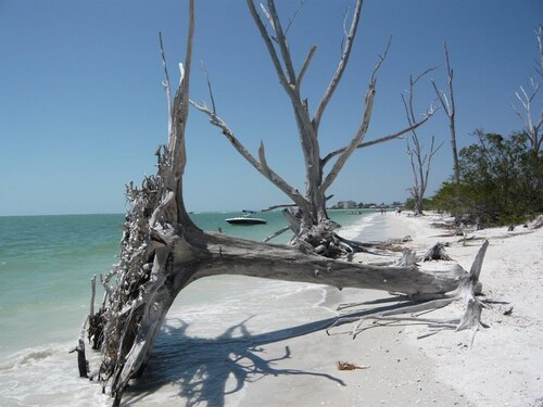 Villa'Cape Florida 'with heated pool / spa on a wide Gulf access canal