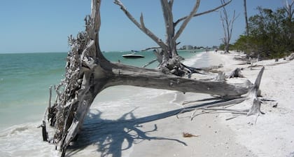 Villa'Cape Florida 'with heated pool / spa on a wide Gulf access canal