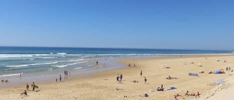 Vlak bij het strand