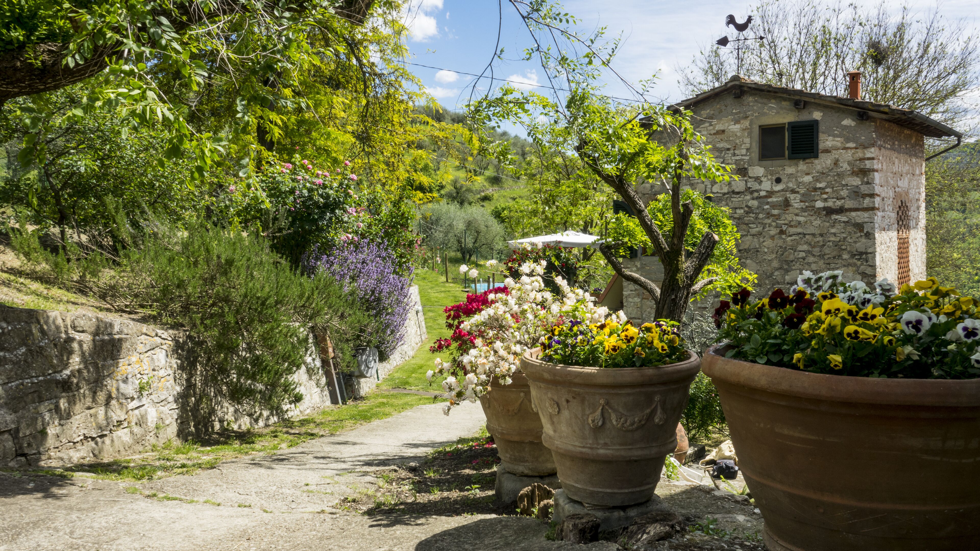 Áreas de la propiedad