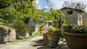 Terrein van de accommodatie