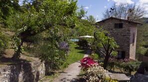 Overnattingsstedets uteområder