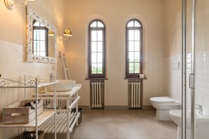 Shower, hair dryer, bidet, towels