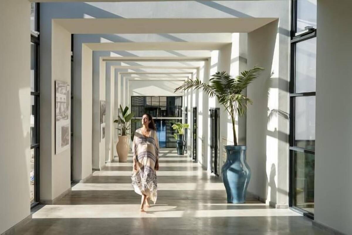 Un pasillo de diseño moderno, con amplias ventanas y plantas en macetas.