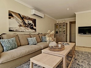 Smart TV, fireplace, books, video library