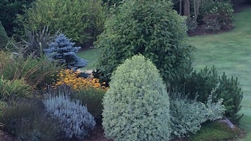 Overnatningsstedets område