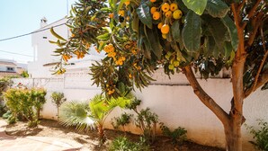 Een tuin met een boom met gele vruchten, omringd door verschillende planten en een wit gebouw op de achtergrond.