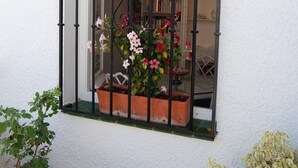 Een raam met een gebogen zwart metalen frame, een bloeiende plant in een pot en een boekenkast.