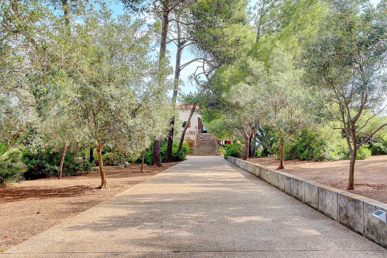 A pathway leading to a building with a staircase, surrounded by trees and a concrete barrier.
