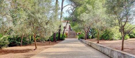 A pathway leading to a building with a staircase, surrounded by trees and a concrete barrier.