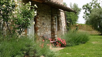 Esterni