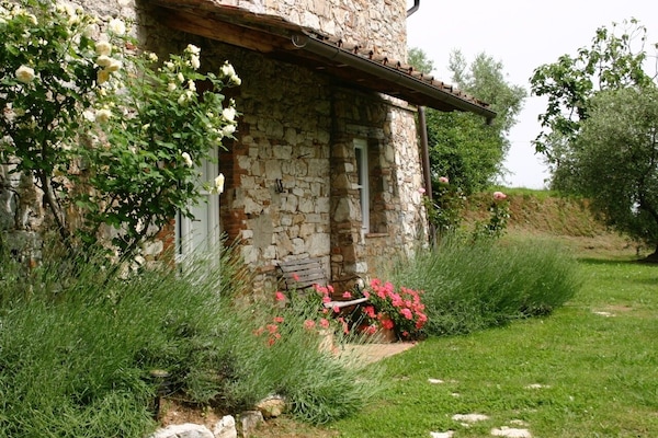The lower garden with access from the bedrooms