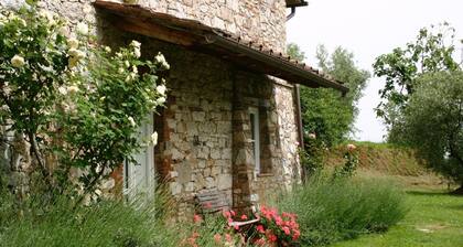 Tuscan house in idyllic scenic tranquility in hills between Lucca and sea WiFi