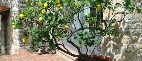 Detalle exterior