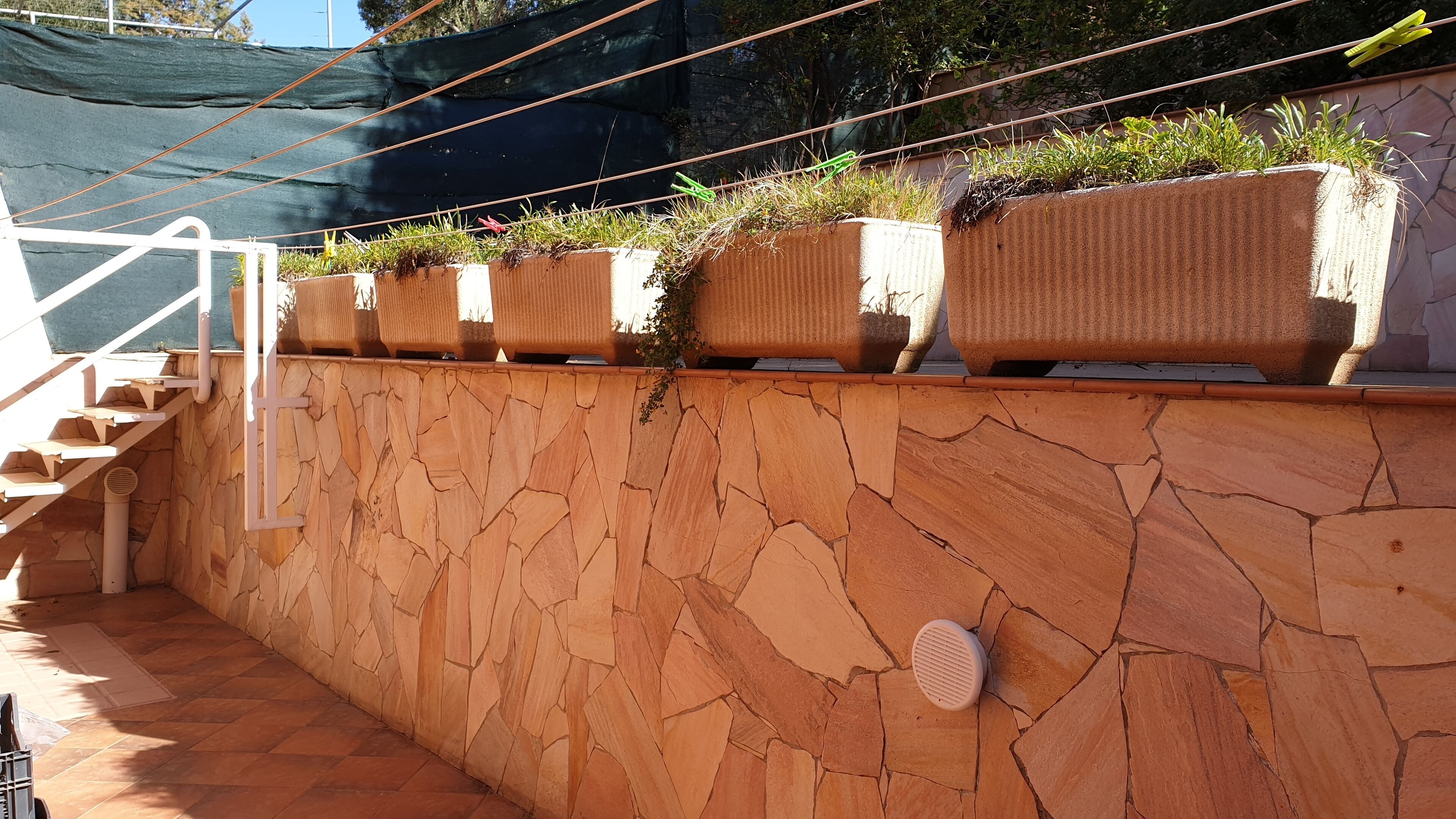 A stone wall with a series of planters containing green plants.