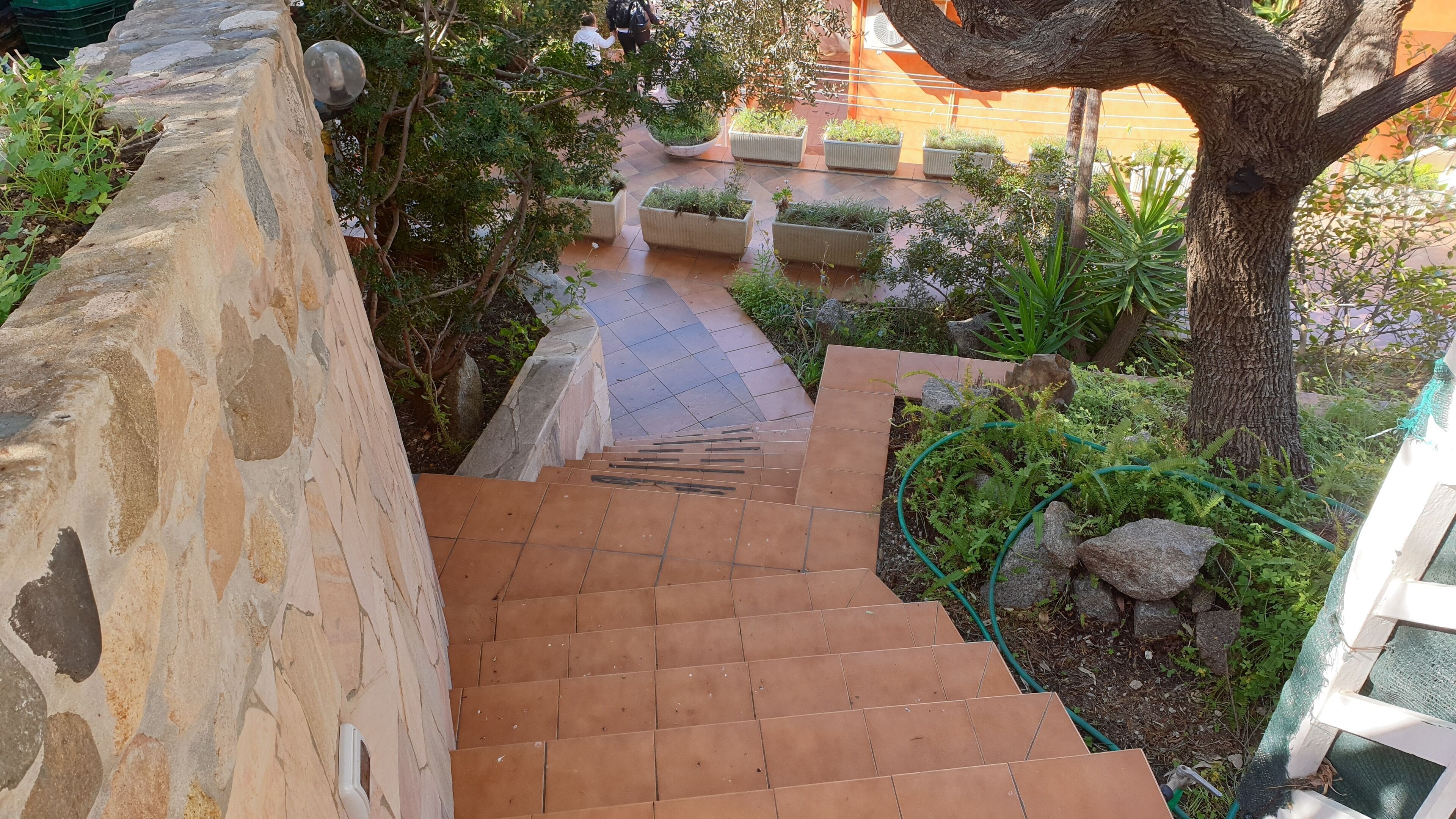 A stone staircase leading to a garden area with potted plants and a tree.