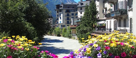 Terrain de l’hébergement
