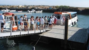 Un muelle con gente abordando un barco.