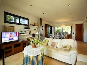 Smart TV, fireplace, DVD player