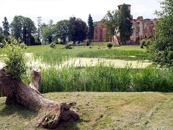 Terrein van de accommodatie