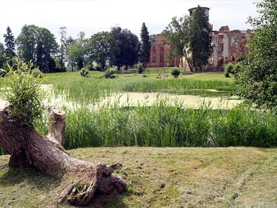 Bungalow - Bungalow en el Waldeck