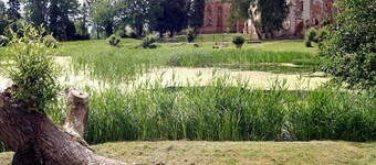 Bungalow am Waldeck - Bungalow (Schultz, Monika)