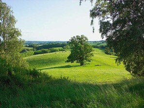 Miscellaneous - Family holiday home near Lake Kummerower - Holiday home (Völker, Iris) (Malchin)