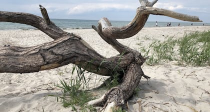 FAMILIENURLAUB an der Ostsee - 8 Personen - Sauna/ Kamin/ 500 mÂČ Garten