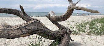 FAMILY HOLIDAY ON THE BALTIC SEA 8 people - sauna / fireplace / 500 sqm garden
