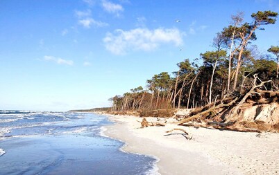 FAMILY HOLIDAY ON THE BALTIC SEA 8 people - sauna / fireplace / 500 sqm garden        
