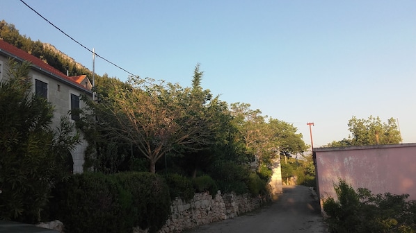 Eine schmale Straße, gesäumt von Steinmauern und dichter Vegetation, die zu einem Gebäude mit rotem Dach führt.