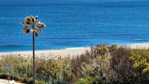 A beach with a clear view of the ocean, a palm tree, and some vegetation. - Your vacation home with fantastic south-facing terrace and breathtaking sea view (Manilva)