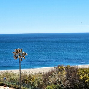 Ubicación a pie de playa y tumbonas