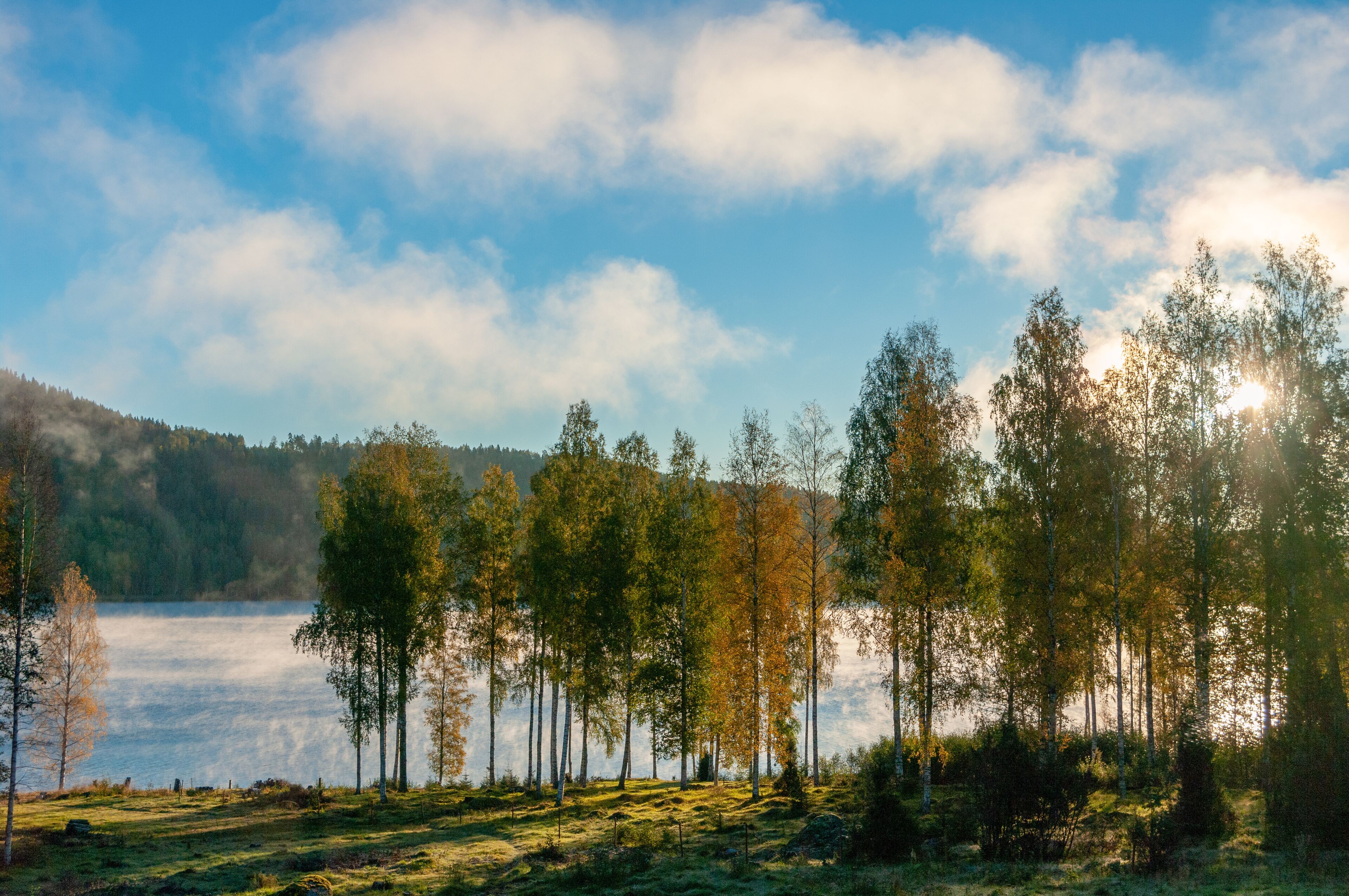 Un paysage paisible au bord d’un lac, avec des arbres et un ciel dégagé.