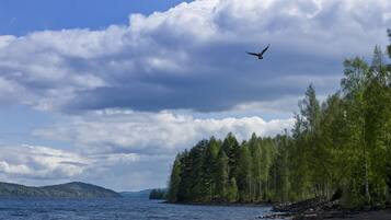 En la playa y camastros