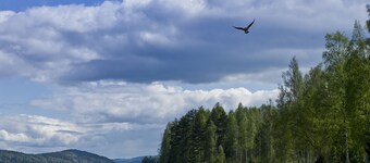 Komfortables Schwedenhaus in Top-Lage am Rottnansee mit eigener Uferlinie