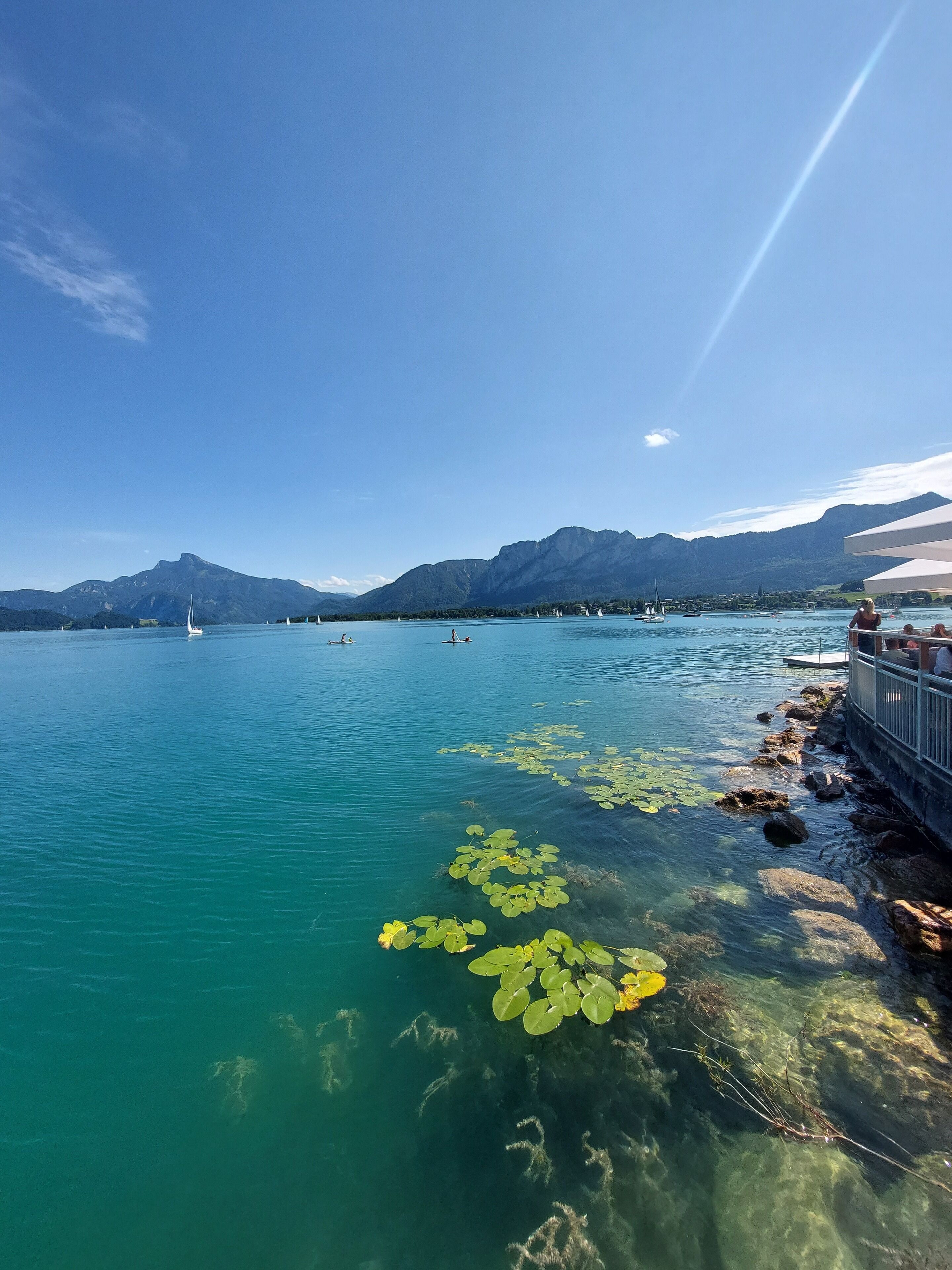 A lake with clear water, lily pads, and boats.