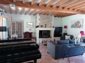 Tv, pejs, dvd-afspiller, bordfodbold