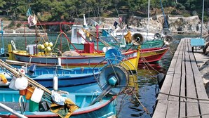 A dock with several colorful boats tied up.