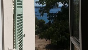 A window with a view of a coastal landscape, including trees and a body of water.