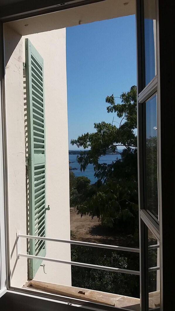 A window with a view of a coastal landscape, including trees and a body of water.