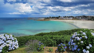 Playa en los alrededores y camastros
