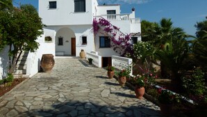 A white building with a stone pathway leading to the entrance, surrounded by potted plants and palm trees.