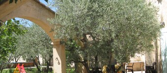 le clos des oliviers, quiet, sunny villa, swimming pool, boules court