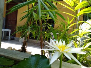 Property amenity - Cycling Hostel Sri Lanka (Unawatuna)